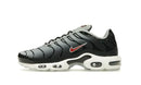 Nike Air Max Plus Swoosh Pack Blue Tint