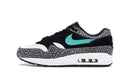 Nike Air Max 1 Atmos Elephant