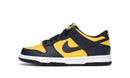 Nike Dunk Low Michigan