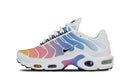 Nike Air Max Plus Summer Gradient