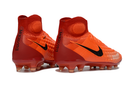 MAGISTA ORDEN II FG