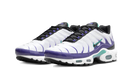Nike Air Max Plus White Grape Ice