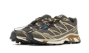 Salomon XT-6 Beluga Dull Gold