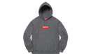 Hoodie Box Logo FW21 Grey