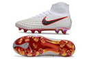MAGISTA ORDEN II FG