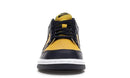 Nike Dunk Low Michigan