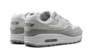 Nike Air Max 1 '87 LX Light Smoke Grey