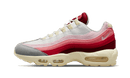 Air Max 95 Anatomy of Air