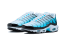 Nike Air Max Plus Baltic Blue