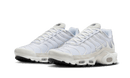 Nike Air Max Plus Sail Pure Platinum Silver
