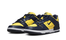 Nike Dunk Low Disrupt 2 Michigan