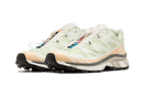 Salomon XT-6 Aloe Wash Feather Grey
