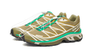 Salomon XT-6 Dried Herb