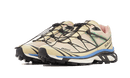 Salomon XT-6 Moth Vanilla