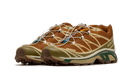 Salomon XT-6 Rubber Lizard