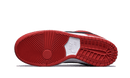 Nike SB Dunk Low Pro J-Pack Chicago