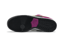Nike SB Dunk Low Pro ACG Terra Red Plum