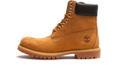 Timberland 6" Premium Waterproof Boot Wheat (Women's)